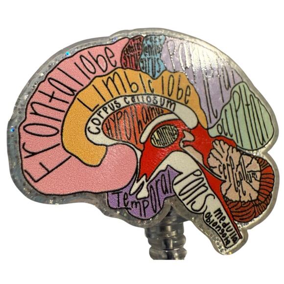Anatomical Brain Retractable ID Badge Reel, Neurologist, Nurse, Neurology, NWT - Picture 1 of 3